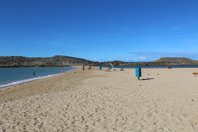 Small-Group North Coast Beach Hopping Adventure in Puerto Rico - Who will enjoy this beach day most?
