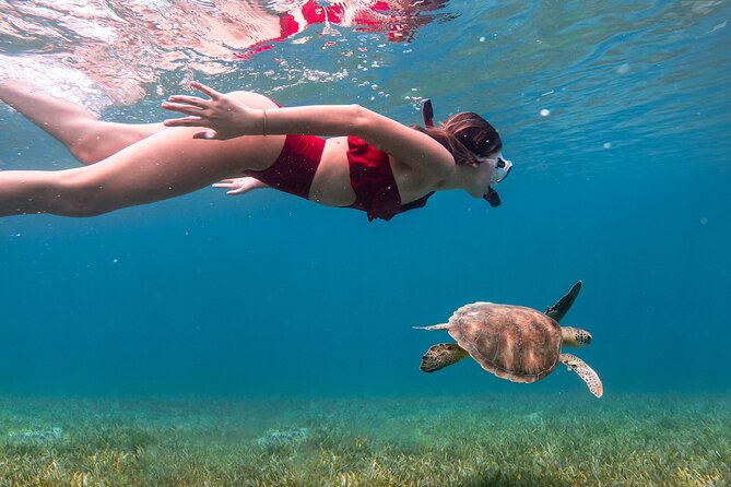 Snorkel, Swim & Snap-w/ Video - What this Puerto Rico experience really includes