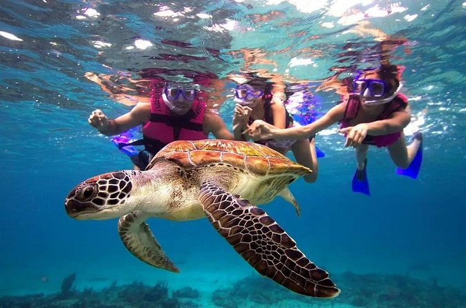 Snorkel, Swim & Snap-w/ Video - The confusing El Yunque and Yabucoa description