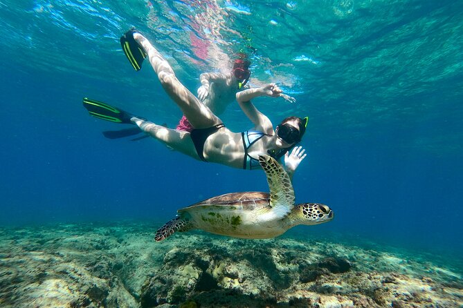 Snorkeling Adventure in Aguadilla - Key points at a glance