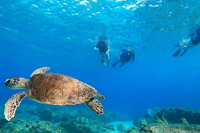 Snorkeling Adventure in Aguadilla - Starting at Peña Blanca Beach at 8:30 a.m.