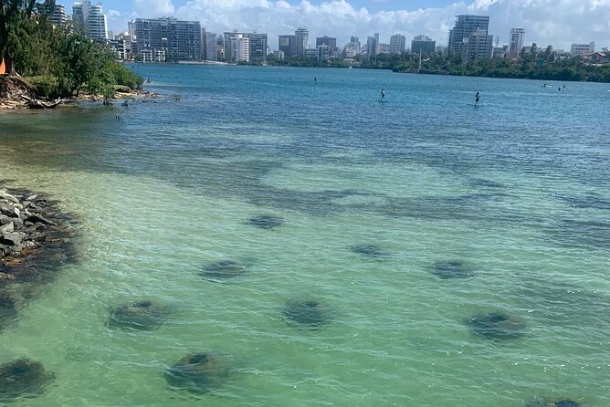 Snorkeling Guided Tour Experience in Condado Lagoon - Key points to know before booking
