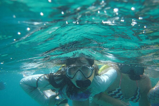 Snorkeling Guided Tour Experience in Condado Lagoon - Fish, starfish, turtles, and manatees