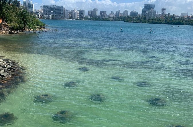 Snorkeling Guided Tour Experience in Condado Lagoon - How strenuous is this snorkeling tour?