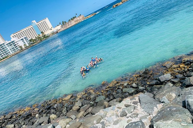 Snorkeling Guided Tour Experience in Condado Lagoon - The first hour: guided water exploration