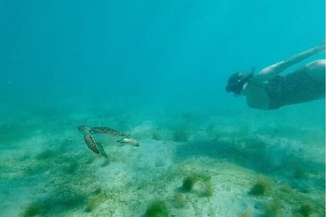 Snorkeling in Paradise - Videos Included - A slow start for first-time snorkelers