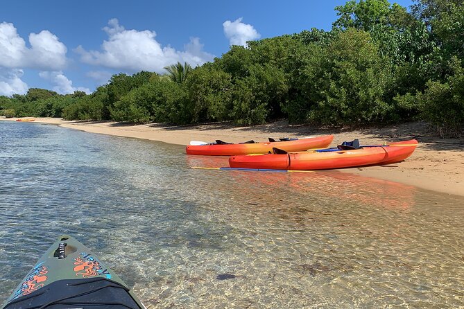 Snorkeling & Kayak Eco-Adventure in Puerto Rico - Kayaking through a protected coastal reserve