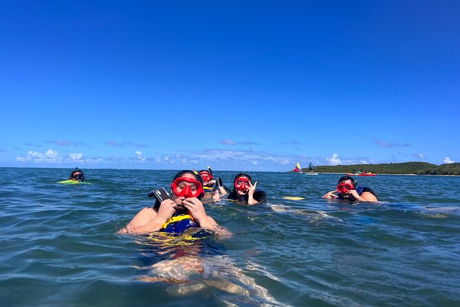 Snorkeling & Kayak Eco-Adventure in Puerto Rico - What the three hours feel like