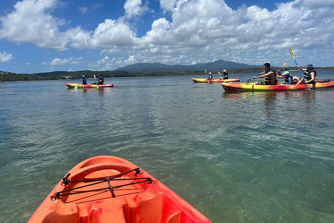 Snorkeling & Kayak Eco-Adventure in Puerto Rico - Who should book this outing?