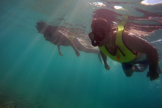 Snorkeling Lesson & Interactive Experience for Kids and Adults - Gear rental until 4:30 pm adds real value