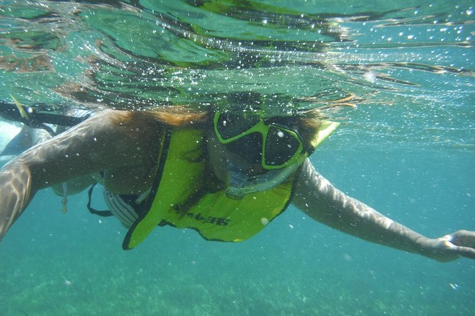 Snorkeling Lesson & Interactive Experience for Kids and Adults - What to bring and how to prepare