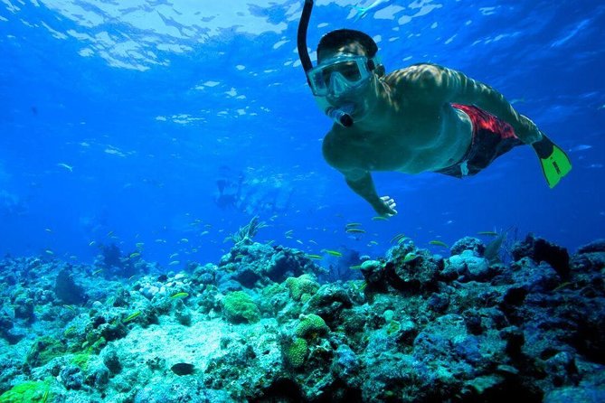 Snorkeling Tour to Vieques Island only 30 minutes away! - Is $134.92 a fair price?