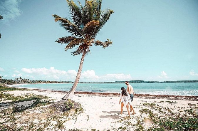 Snorkeling Tour to Vieques Island only 30 minutes away! - Who should book this excursion?