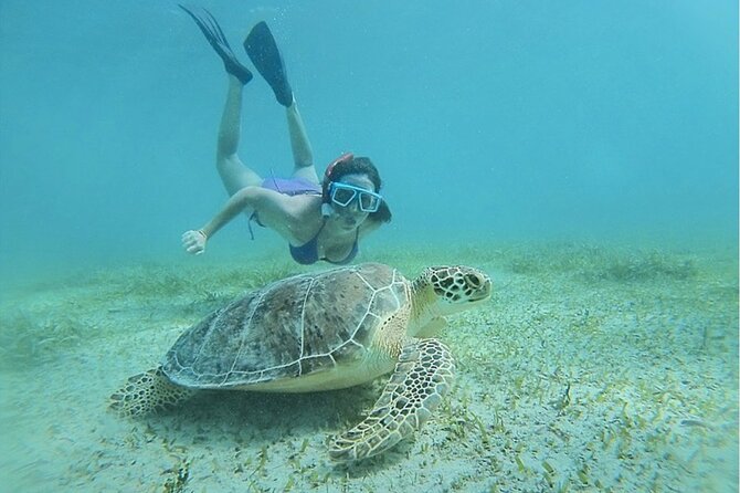 Snorkeling Tour to Vieques Island only 30 minutes away! - Snorkeling over Vieques reefs