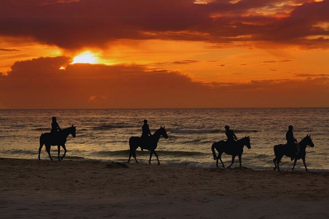 Sunset Horseback Ride by the Beach in Aguadilla, Puerto Rico - Quick take: what matters most