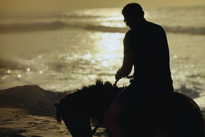 Sunset Horseback Ride by the Beach in Aguadilla, Puerto Rico - Getting comfortable in the saddle