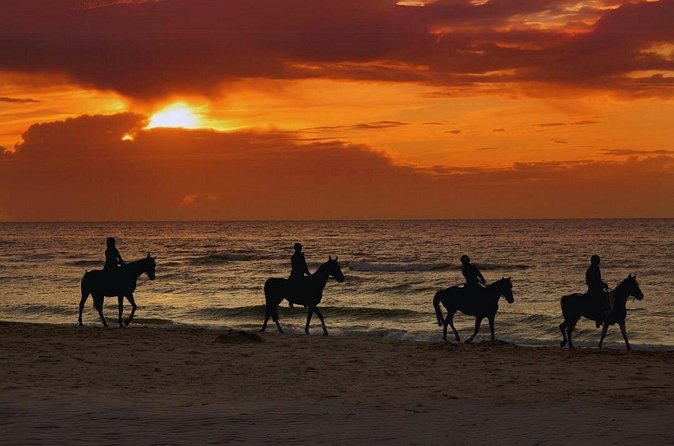 Sunset Horseback Ride by the Beach in Aguadilla, Puerto Rico - Photos, videos, and the private-group advantage