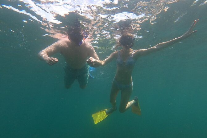 Sunset Snorkeling - The creatures you might see after daylight fades