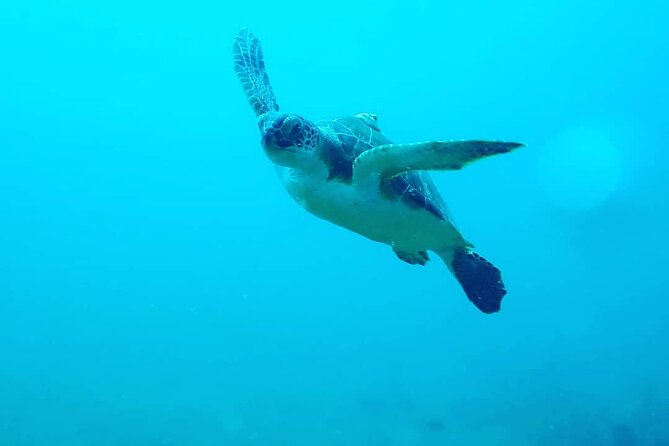Sunset Snorkeling - Safety, weather, and sea conditions