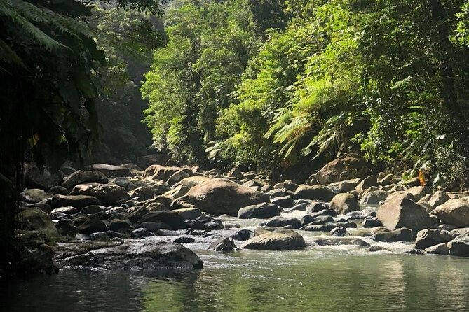 The Best Rainforest Experience in Puerto Rico - Key points to know before booking