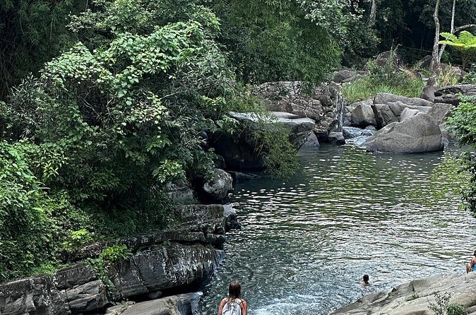 The Best Rainforest Experience in Puerto Rico - The guides are a major part of the value