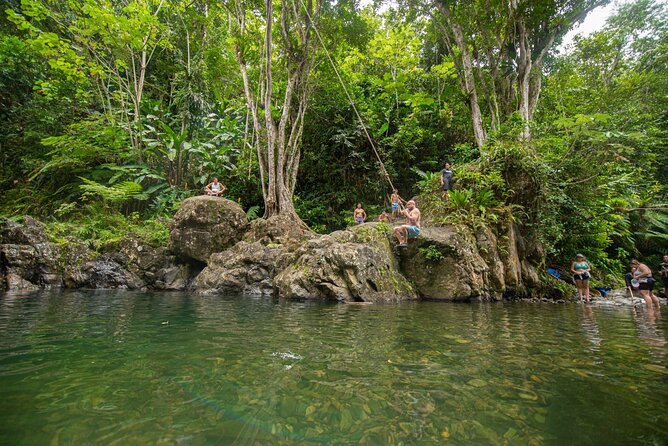 Top Rated El Yunque Rainforest & Waterslide – SmallGroup Tour - Leaving San Juan for El Yunque