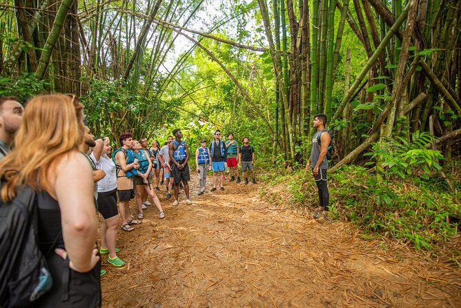 Top Rated El Yunque Rainforest & Waterslide – SmallGroup Tour - The second waterfall and natural rock slide