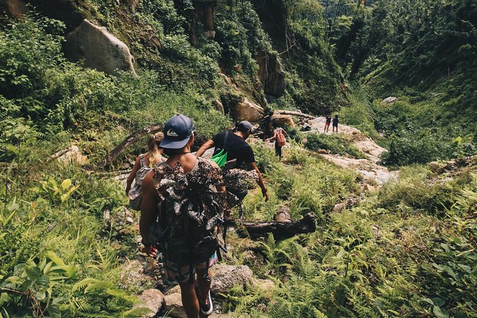 Top Rated El Yunque Rainforest & Waterslide – SmallGroup Tour - What the rainforest adds beyond the thrills
