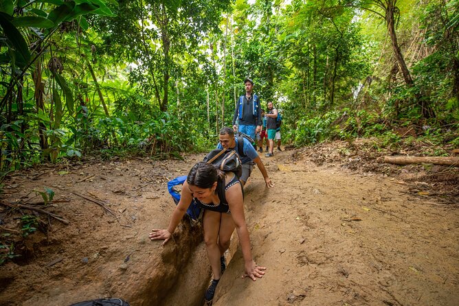 Top Rated El Yunque Rainforest & Waterslide – SmallGroup Tour - Is $45 a good value?