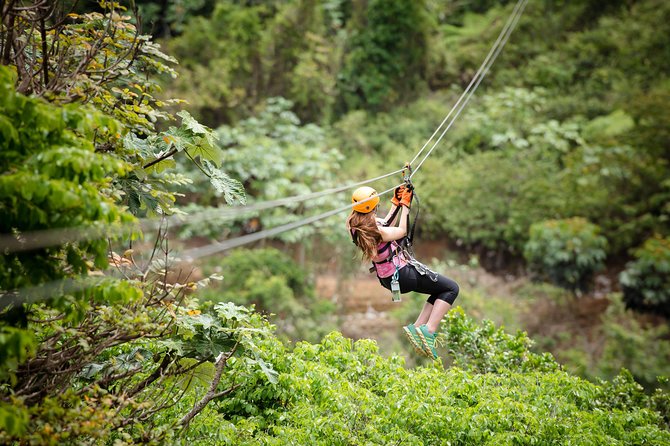 Toro Verde 7-Zipline Tour Plus the Beast with Pickup - Who will enjoy this most?
