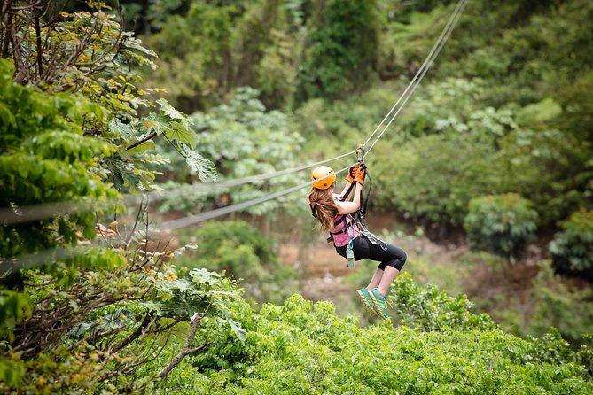 Toro Verde 7-Zipline Tour Plus the Monster with Transport - From San Juan to Toro Verde in Orocovis