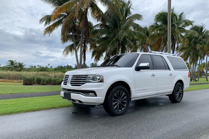 Transfer TO or FROM: Airport,Cruise,Hotel in DORADO or RIO GRANDE - Timing, pickup, and the route home