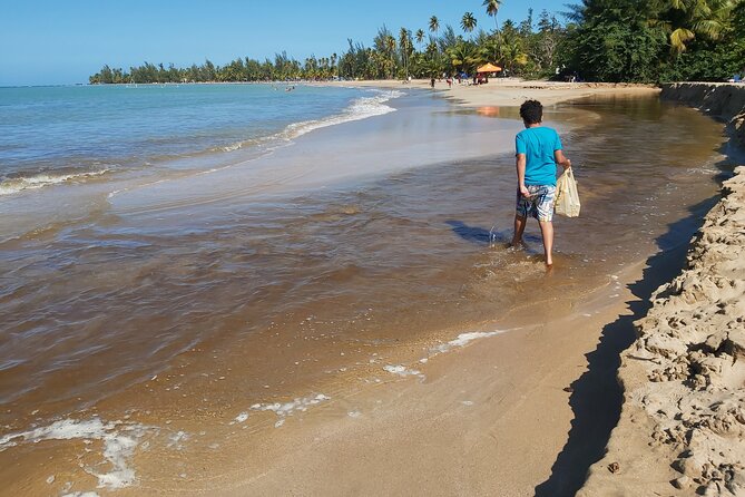 Transportation from San Juan to Ceiba ferry or airport - Clean vehicles and a calmer ride
