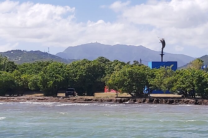 Transportation from San Juan to Ceiba ferry or airport - Drivers who add local context