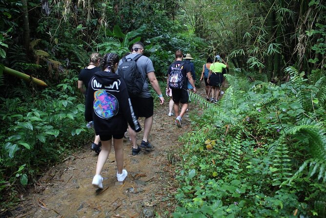 Trio Tour: El Yunque, Luquillo Beach, and Bio Bay Night Kayaking - Laguna Grande after dark