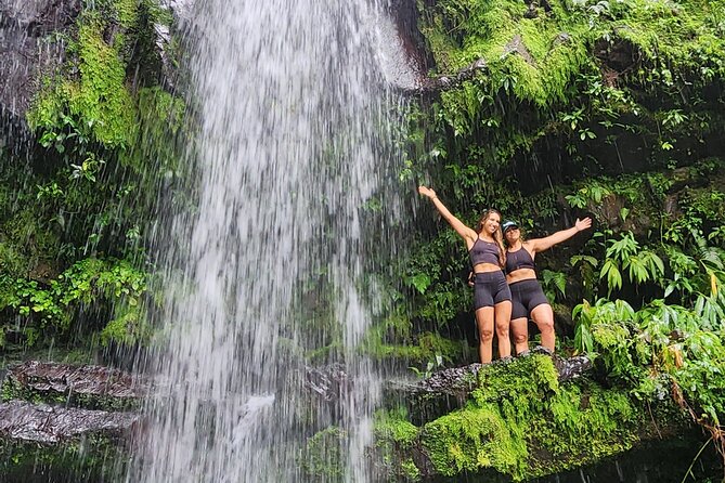 Tropical Rainforest Wonders Full Day Experience from San Juan - La Piedra Escrita and Puerto Rico’s Taino past
