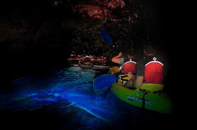 Two-in-One Day Trip: El Yunque and Bio Bay Tour with Transport - Kayaking through the Red Mangrove Forest
