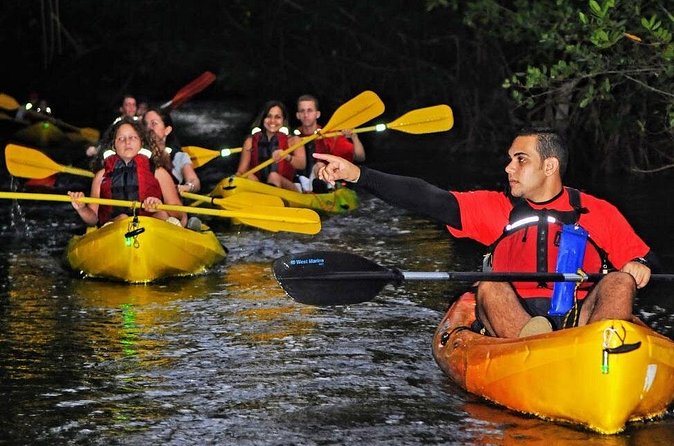 Two-in-One Day Trip: El Yunque and Bio Bay Tour with Transport - Guides are a major part of the value