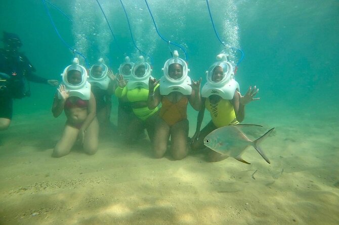 Underwater Sea Trek in San Juan: Explore Beneath the Waves - Fish, Starfish, and Possible Octopus Sightings