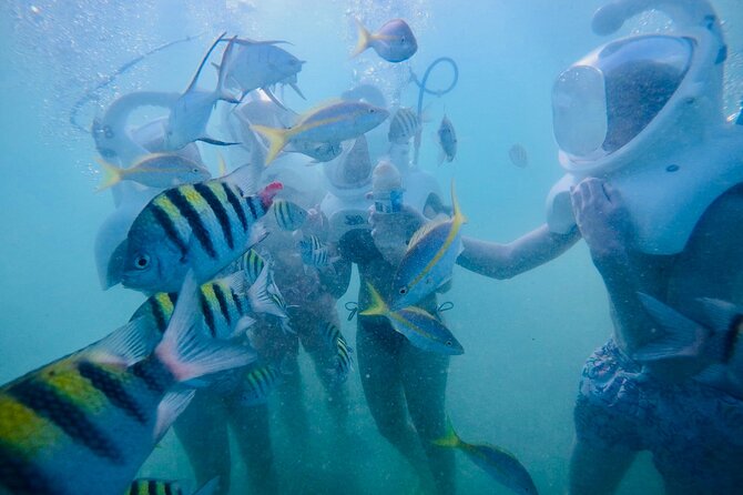 Underwater Sea Trek in San Juan: Explore Beneath the Waves - The Underwater Photos Are a Real Part of the Experience