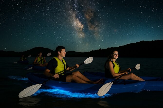 Unforgettable One Day Bioluminescent Kayak Adventure in Vieques - Key details before you book
