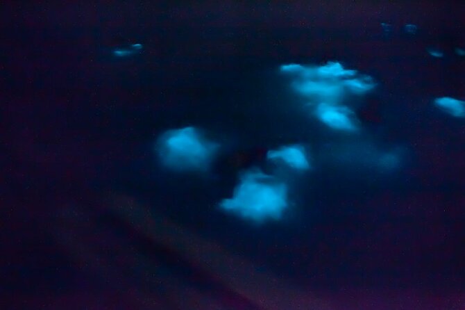 Unforgettable One Day Bioluminescent Kayak Adventure in Vieques - Why Mosquito Bay is worth the trip to Vieques