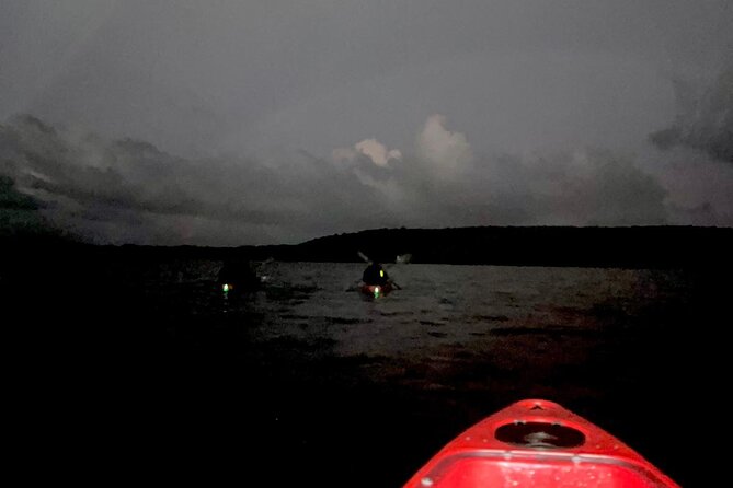 Unforgettable One Day Bioluminescent Kayak Adventure in Vieques - What happens on the water