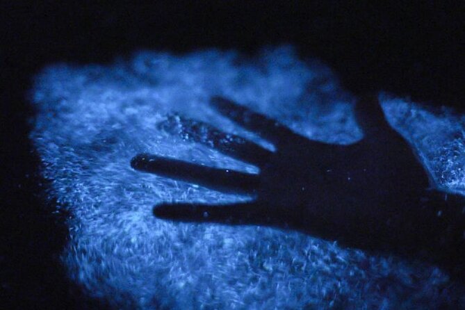 Unforgettable One Day Bioluminescent Kayak Adventure in Vieques - What the guides add, and where the service may vary