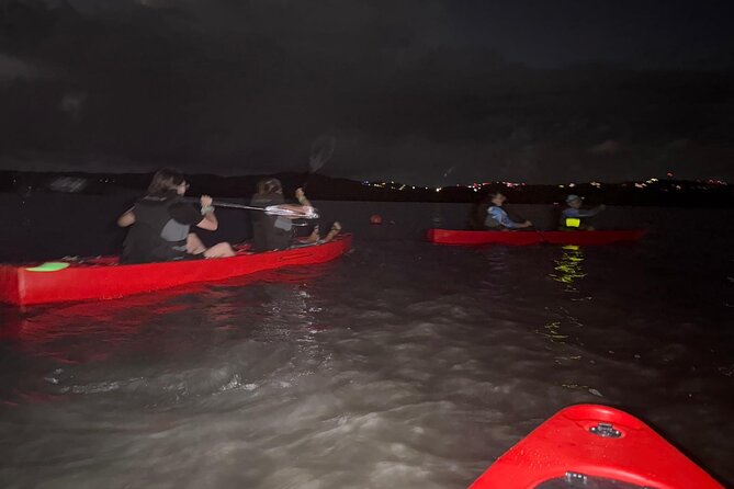 Unforgettable One Day Bioluminescent Kayak Adventure in Vieques - Who will enjoy this kayak outing most?