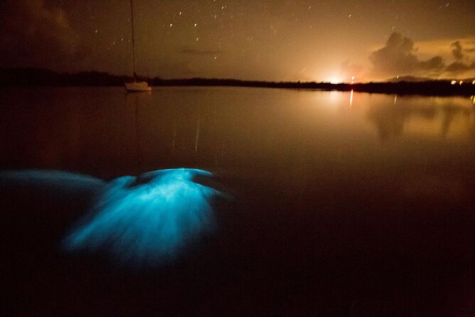 Unforgettable One Day Bioluminescent Kayak Adventure in Vieques - The day begins with a ferry, not a kayak