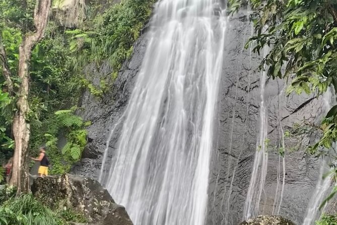 USDA El Yunque National Forest and Luquillo Beach Tour - La Coca Falls: a quick stop with a big payoff