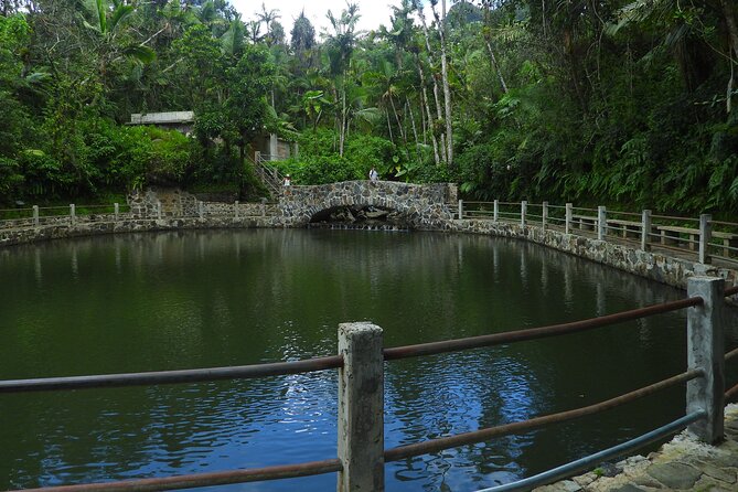 USDA El Yunque National Forest and Luquillo Beach Tour - The guides are a major part of the value