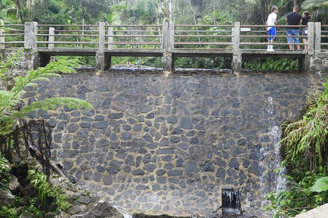USDA El Yunque National Forest and Luquillo Beach Tour - Who will get the most from this tour