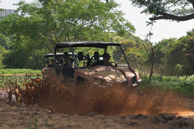 UTV adventure in Naguabo Puerto Rico 50 minutes trip 80 acres - Mountain views from the high points